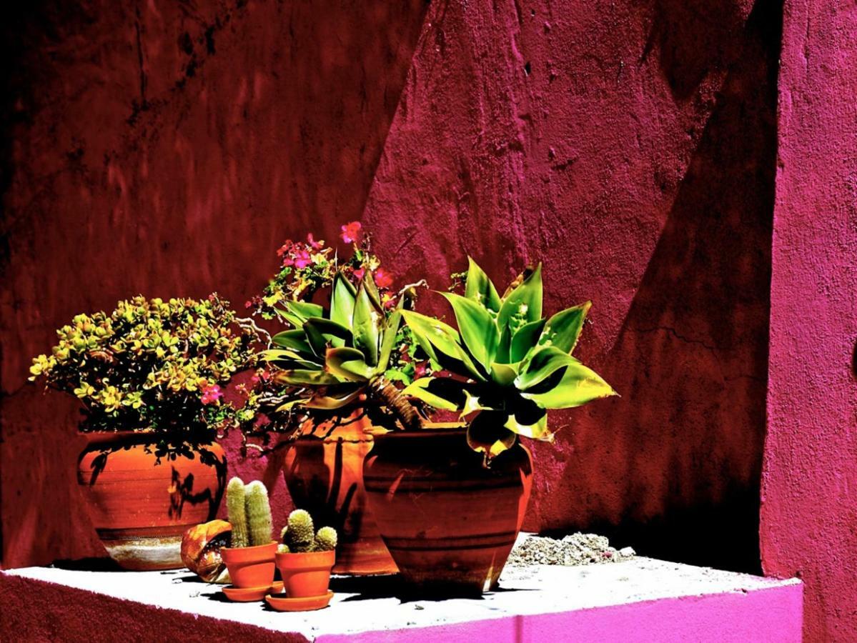 Sao Miguel House , Casa Do Carvalhal Guest House Santarém Екстериор снимка