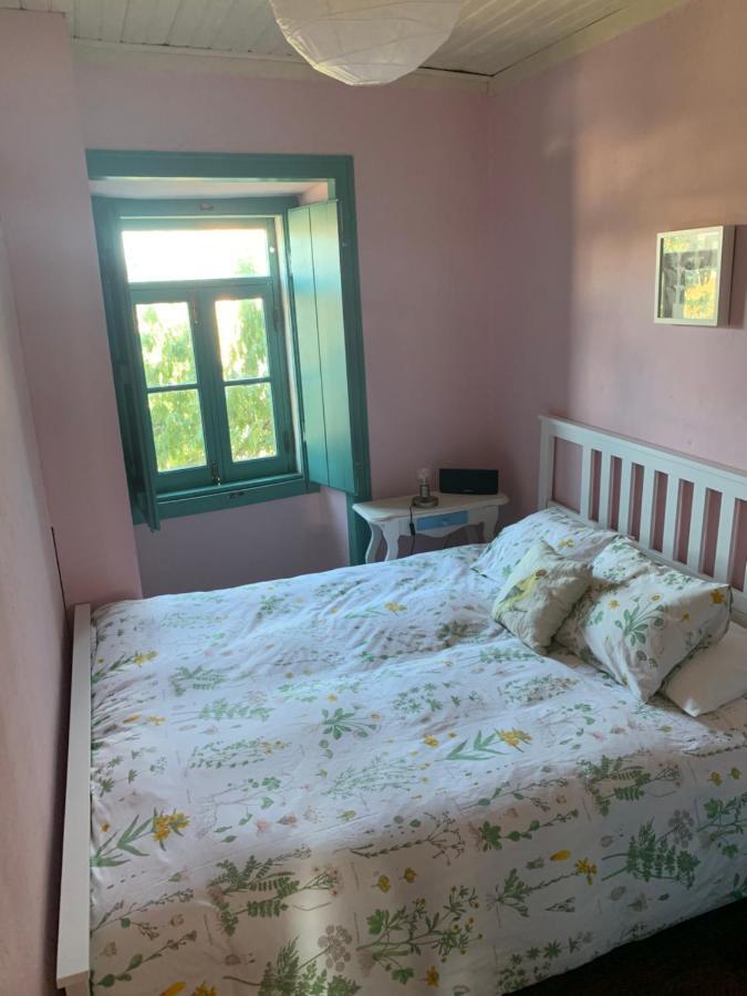 Sao Miguel House , Casa Do Carvalhal Guest House Santarém Екстериор снимка